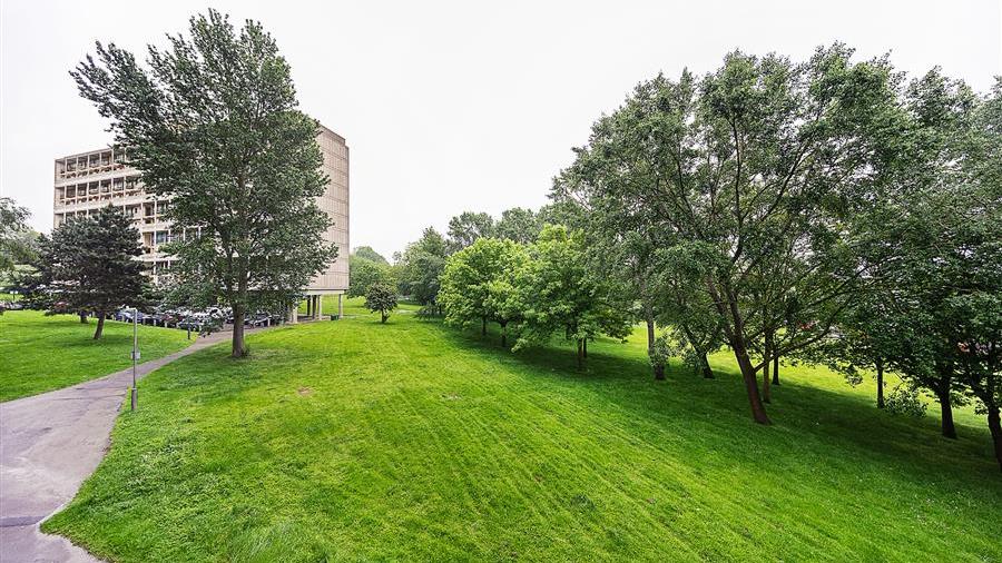 Communal Garden