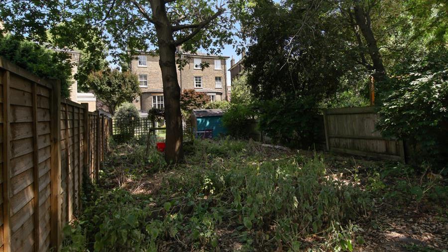 Communal Garden