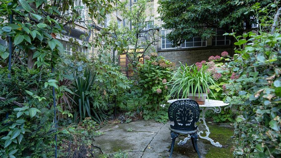 Communal Garden